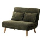 Cozy Green 2-Seater Folding Lounge Chair