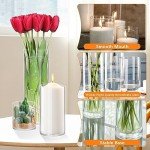 Set of 4 Clear Glass Cylinder Vases