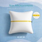 AEROMAX 20x20 Memory Foam Pillow Inserts – 2 Pack