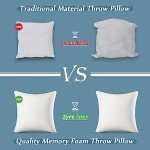 AEROMAX 20x20 Memory Foam Pillow Inserts – 2 Pack