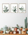 Botanical Olive Leaf Wall Art Set of 3