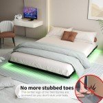 Queen Size Floating Bed Frame with LED Lights