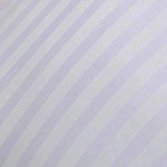 Set of 2 Cotton Bombay Dyed Cushion Fillers