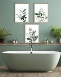 Botanical Olive Leaf Wall Art Set of 3