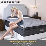 Duchess Queen Eurotop Hybrid Mattress with Memory Foam