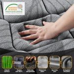 Giselle 22cm Medium Firm Pocket Spring Mattress - King Single