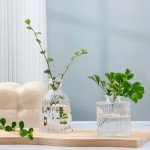 Set of 4 Clear Embossed Glass Bud Vases