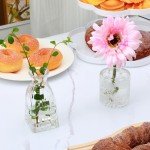 Set of 4 Clear Embossed Glass Bud Vases