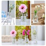 Set of 4 Clear Embossed Glass Bud Vases