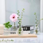 Set of 4 Clear Embossed Glass Bud Vases