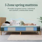 Zinus Queen Euro Top Cooling Pocket Spring Mattress