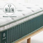 Zinus Queen Euro Top Cooling Pocket Spring Mattress