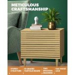 Natural Wood Nightstand with 2 Drawers