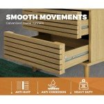 Natural Wood Nightstand with 2 Drawers