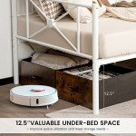 Modern Metal Daybed Frame for Living Room