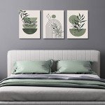 Sage Green Boho Wall Art Set of 3