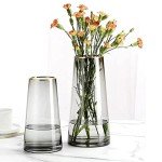 Clear Cylinder Glass Vase for Floral Displays