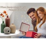Ceramic Vase Set of 4 for Home Decor