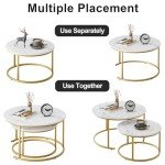 Set of 2 Modern Round Nesting Coffee Tables