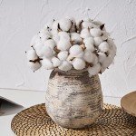 Whitewashed Rustic Ceramic Flower Vase, 7.3 Inch