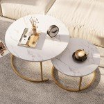 Set of 2 Modern Round Nesting Coffee Tables