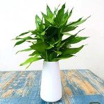 Elegant Matte Ceramic Vase for Flowers and Decor