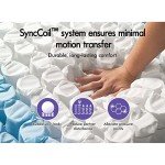 Starry Eucalyptus Queen Mattress with Memory Foam