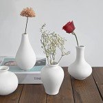 Set of 5 Cute White Ceramic Flower Vases