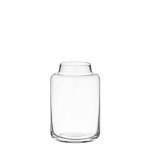 Clear Rogue Pauline Vase - 10x10x16 cm