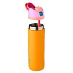 Owala FreeSip Insulated Water Bottle, 24 oz
