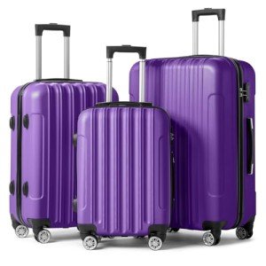 Purple Hardside Luggage Set with Spinner Wheels
