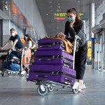 Purple Hardside Luggage Set with Spinner Wheels