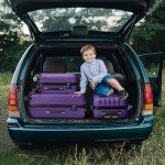 Purple Hardside Luggage Set with Spinner Wheels