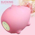 Waterproof-Rose-Vibrator-Clit-Nipple-Sucker-Women-Massager-Toy-use Lubricant US