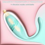 Thrusting Egg Vibrator, Mute Remote Control Vibrator with 9 Thrusting & Vibratin