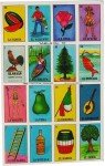 Loteria Card Game Naipes Gacela Mexican Bingo Set of 20 Boards And Card Deck