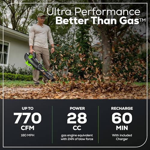 Greenworks 80V Cordless Leaf Blower with Charger