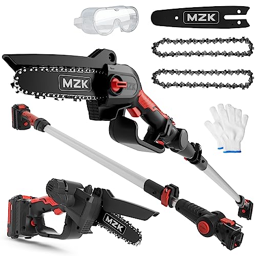 Cordless Pole Saw & Mini Chainsaw Combo Kit
