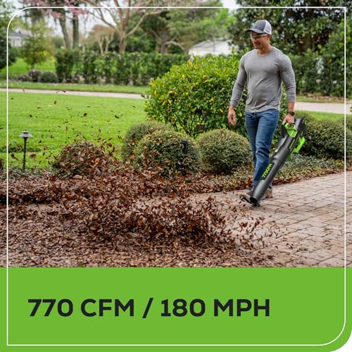 Greenworks 80V Cordless Leaf Blower with Charger