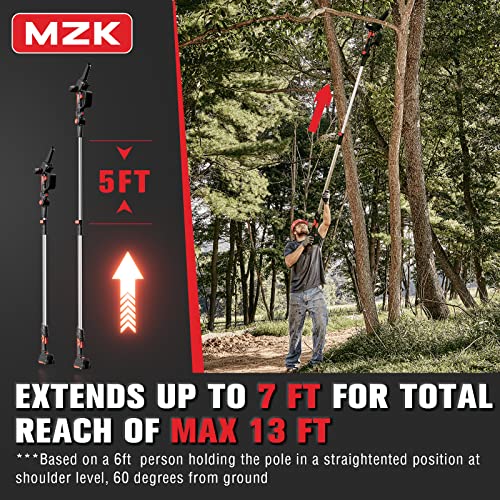 Cordless Pole Saw & Mini Chainsaw Combo Kit