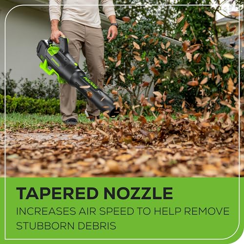 Greenworks 80V Cordless Leaf Blower with Charger