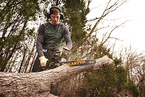 Poulan Pro PR4218 18" 42cc 2-Cycle Gas Chainsaw