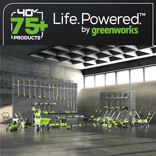 Greenworks 40V 8" Brushless Edger with 4.0Ah_DECLS_USB