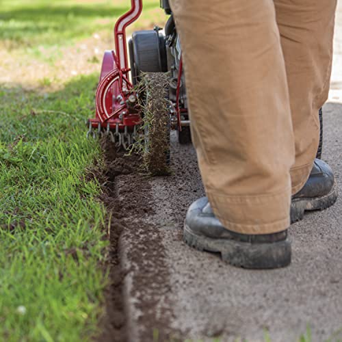Earthquake 79cc 4-Cycle Walk-Behind Edger - Red/Black