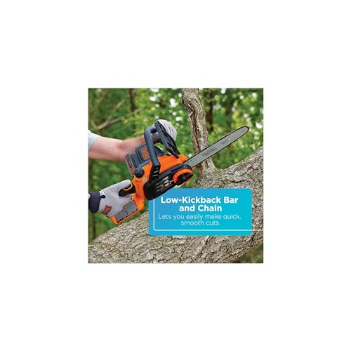 BLACK+DECKER 20V MAX Cordless Chainsaw Kit, 10 inch