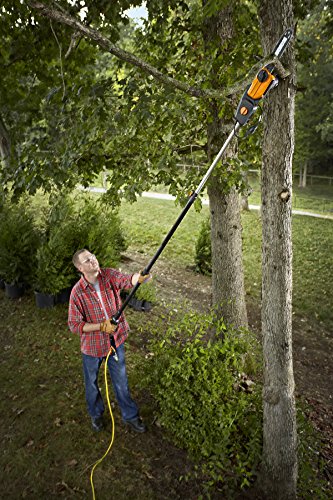 Worx WG309 10" Electric Pole Saw - Powerful amp