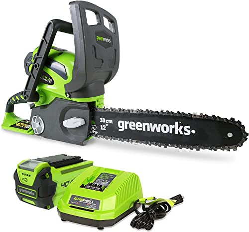 Greenworks 40V Compact Chainsaw with Battery & Charger