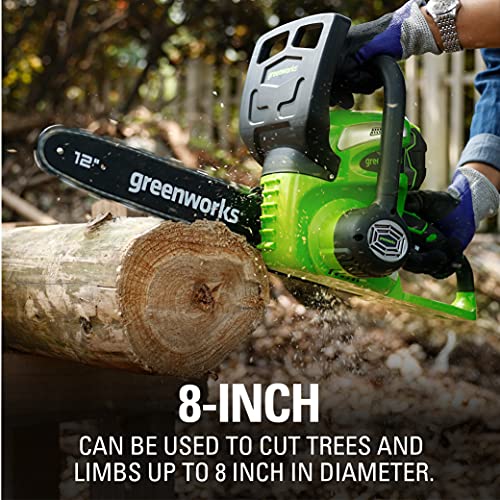 Greenworks 40V Compact Chainsaw with Battery & Charger