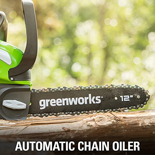 Greenworks 40V Compact Chainsaw with Battery & Charger