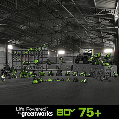 Greenworks 80V Zero Turn Lawn Mower with Batteries